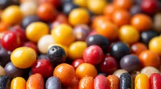 Top 5 Easiest Heirloom Corn Varieties to Grow